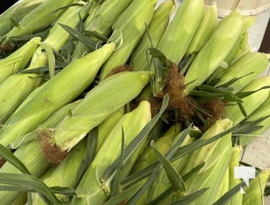 Cobourg Farmers Market July 27, 20241392