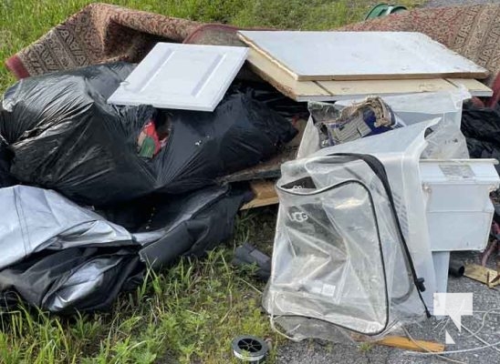 Illegally Dumped Garbage July 24, 20241190