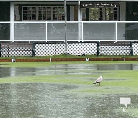 Lawn Club Flood July 16, 2024996