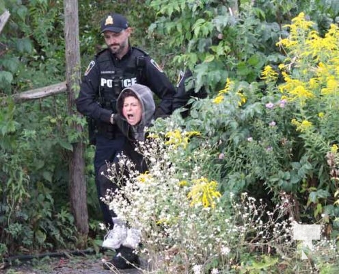 Assault Arrest September 7, 2024 0673