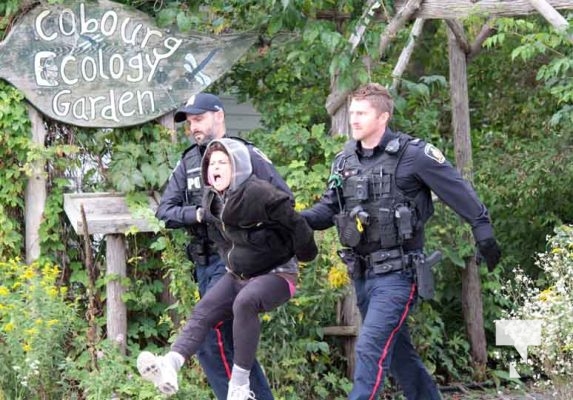 Assault Arrest September 7, 2024 0674