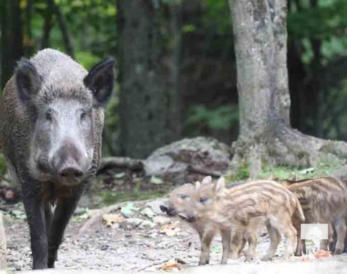 Omega Park August 30, 2024 0540