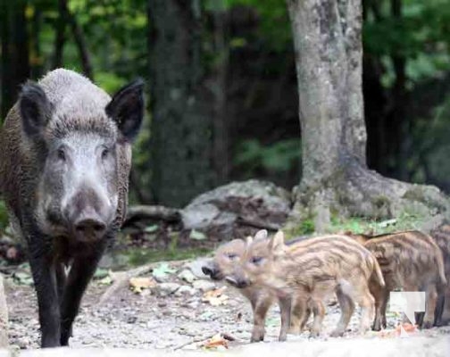 Omega Park August 30, 2024 0541