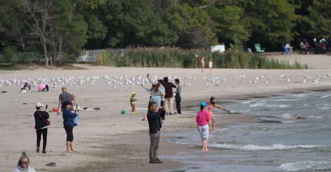 Swimming Waterfront Surfing September 28, 2024 1557