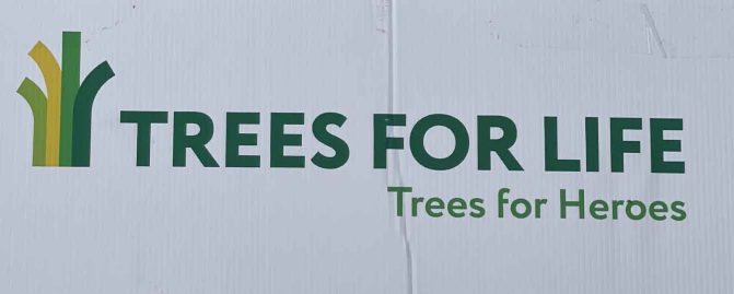 Trees For Life September 28, 2024 1529