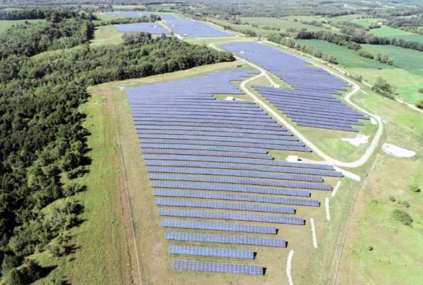 solar farm sheep hamilton township August 23, 2024 0248