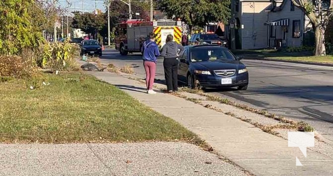 Cobourg University Ave MVC October 18, 2024 2146