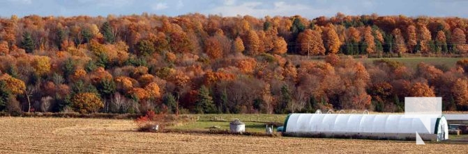 Fall Sunset Alnwick Haldimand Cobourg October 26, 2024 2287