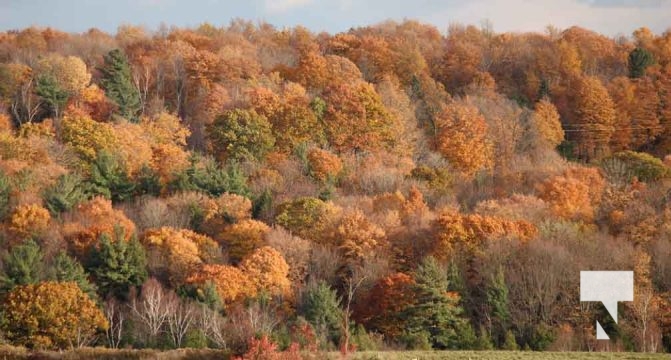 Fall Sunset Alnwick Haldimand Cobourg October 26, 2024 2288