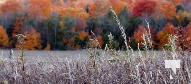 Fall Sunset Alnwick Haldimand Cobourg October 26, 2024 2299