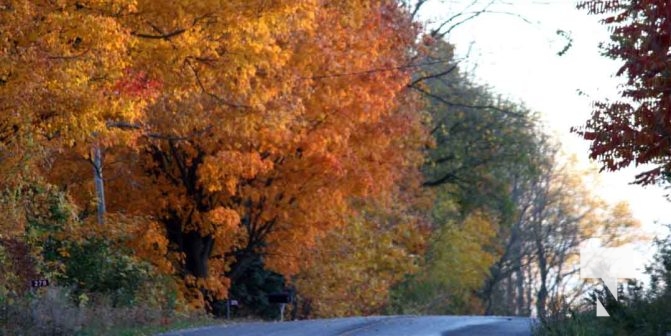 Fall Sunset Alnwick Haldimand Cobourg October 26, 2024 2300