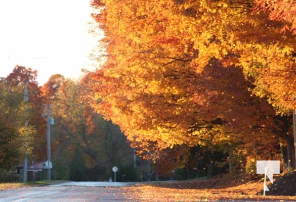 Fall Sunset Alnwick Haldimand Cobourg October 26, 2024 2301