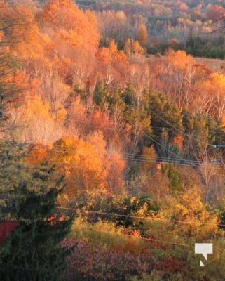 Fall Sunset Alnwick Haldimand Cobourg October 26, 2024 2304