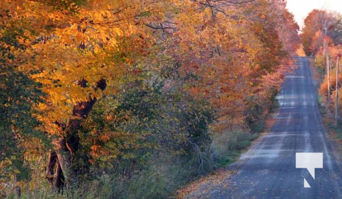 Fall Sunset Alnwick Haldimand Cobourg October 26, 2024 2306