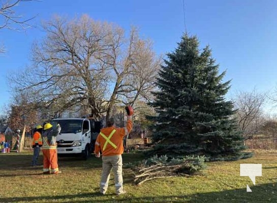 Christmas Tree Magic November 18, 2024 3027