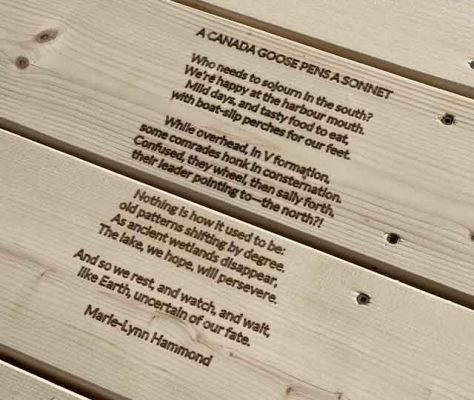 Cobourg Ecology Garden Poem Picnic Table October 28, 2024 2349