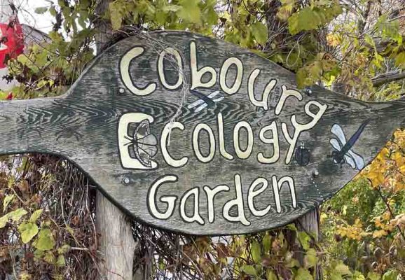 Cobourg Ecology Garden Poem Picnic Table October 28, 2024 2352