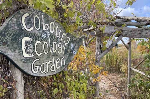 Cobourg Ecology Garden Poem Picnic Table October 28, 2024 2353