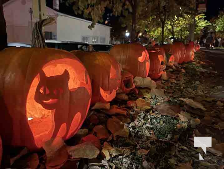 Pumpkin Parade November 1, 2024 2453 Today's Northumberland Your