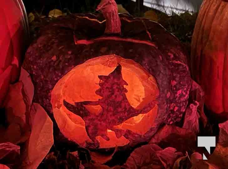 Pumpkin Parade November 1, 2024 2454 Today's Northumberland Your