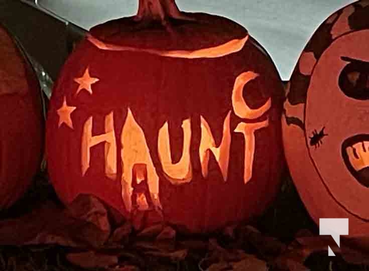 Pumpkin Parade November 1, 2024 2456 Today's Northumberland Your