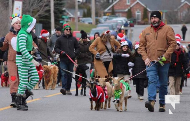 Caslteton Pet Parade December 1, 2024 3587