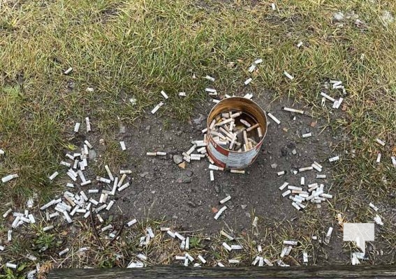 Cigarette Butts December 29, 2024 4132