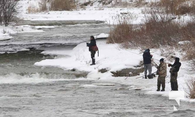 Fishing Ganraska River December 26, 2024 4030