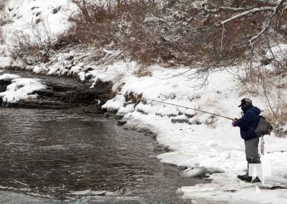 Fishing Ganraska River December 26, 2024 4031