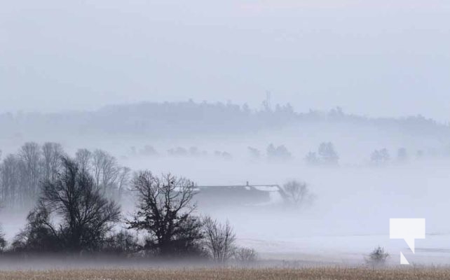 Fog Hamilton Township December 10, 2024 3701