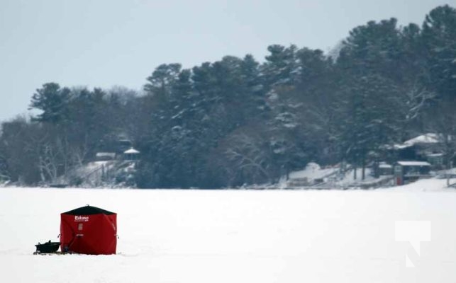 Ice Fishing Bewdley December 26, 2024 4070