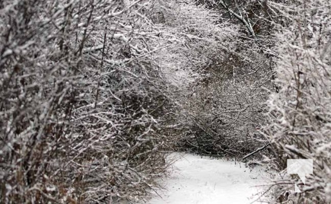 Pathway Gages Creek Port Hope December 26, 2024 4047