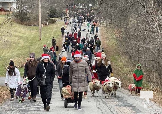 December 1, 2024Caslteton Pet Parade 3572