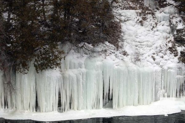 January 25, 2025 Ranney Falls Trent River Campbellford 297