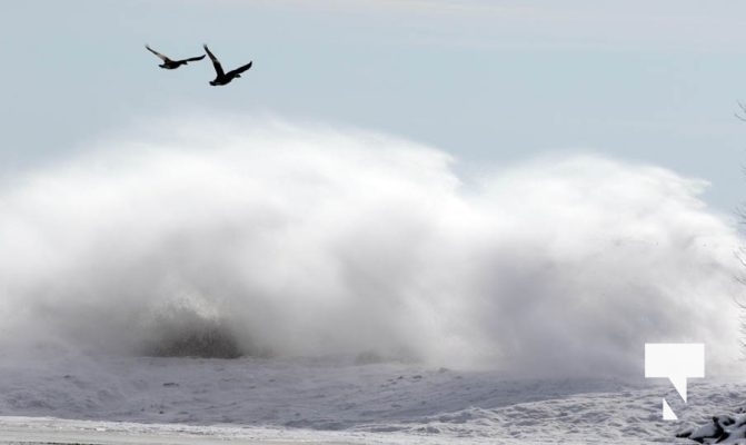 January 27, 2025 wind Cobourg Harbour 419