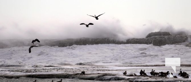 January 27, 2025 wind Cobourg Harbour 421