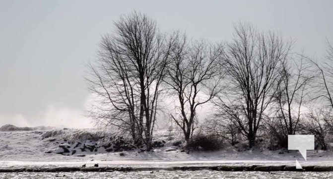 January 27, 2025 wind Cobourg Harbour 423