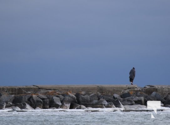 January 5, 2025 Woman on Cobourg Pier Police 37