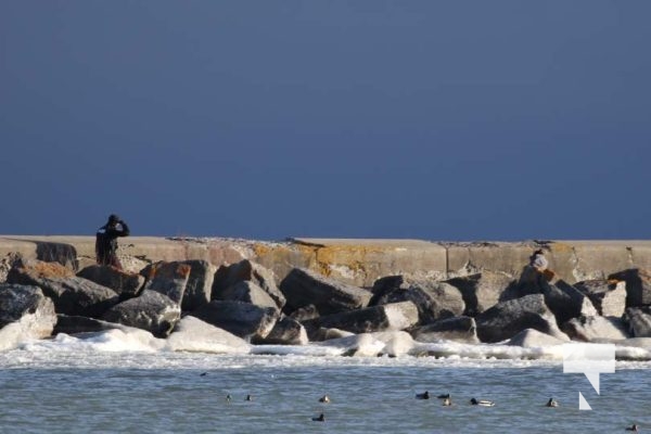 January 5, 2025 Woman on Cobourg Pier Police 40