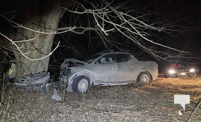 January 8, 2025 Pickup Truck Tree 110