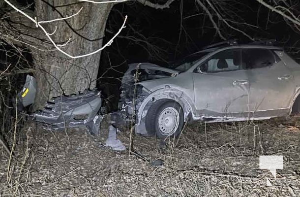 January 8, 2025 Pickup Truck Tree 111