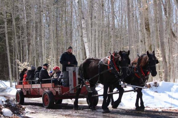 March 9, 2025 Warkworth Maple Syrup Festival265