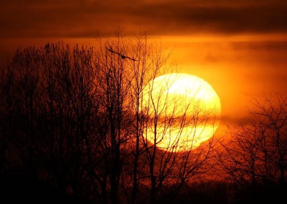 May 12, 2025 Sunset Cobourg2384