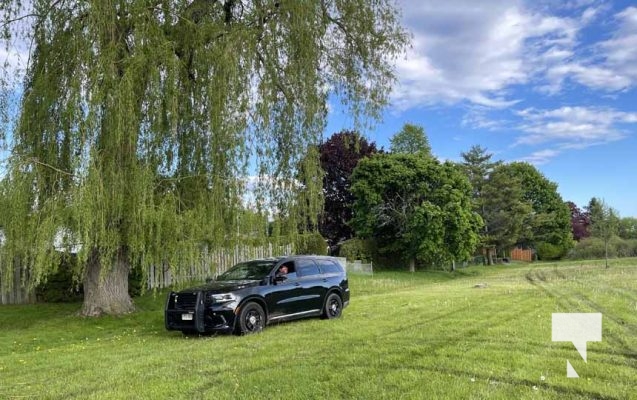 May 26, 2025 Westwood Park Incident2900