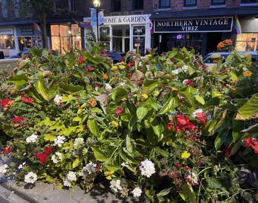 June 13, 2025 Downtown Flowers3407