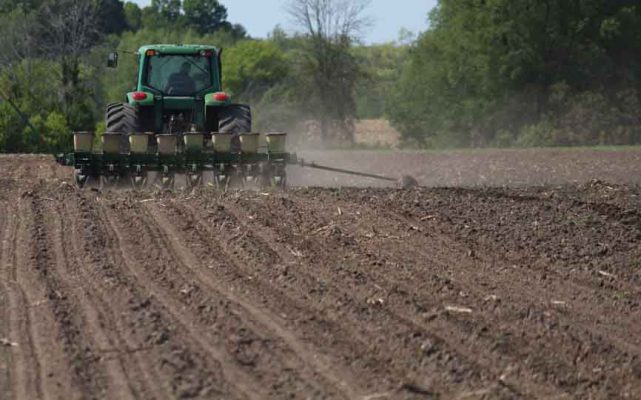 June 2, 2025 Paul Burnham Farming3070