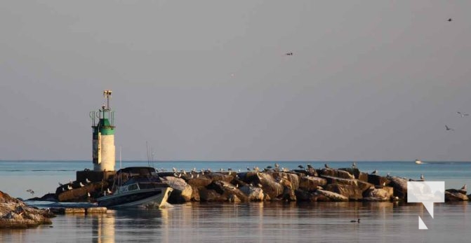 June 29, 2025 Cobourg Lighthouse3816
