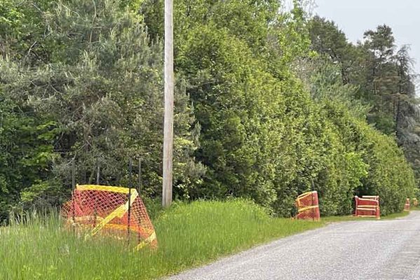 June 3, 2025 Fibre Optic3118