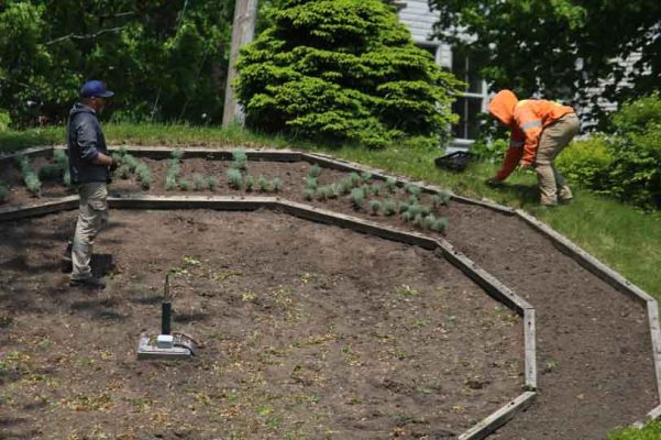 June 3, 2025 Floral Clock3086