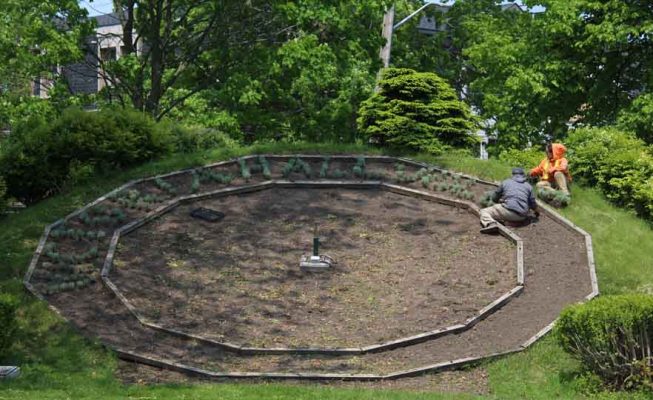 June 3, 2025 Floral Clock3089